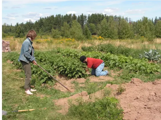 Active-Care-Gardening Active-Care-Gardening