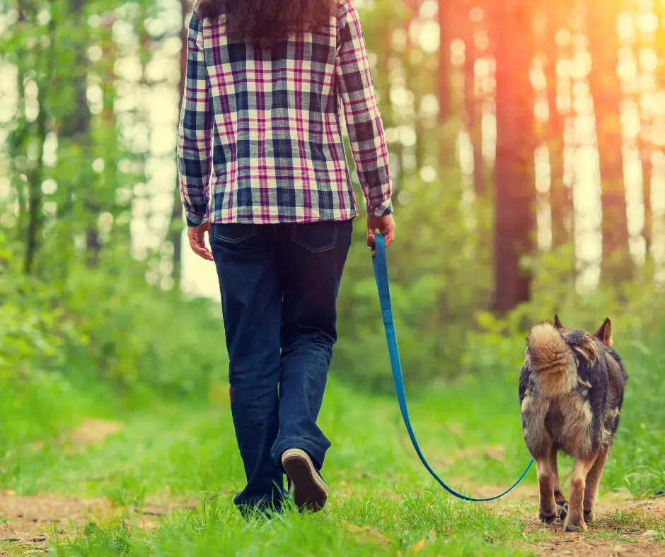 activities-sharon activities-sharon